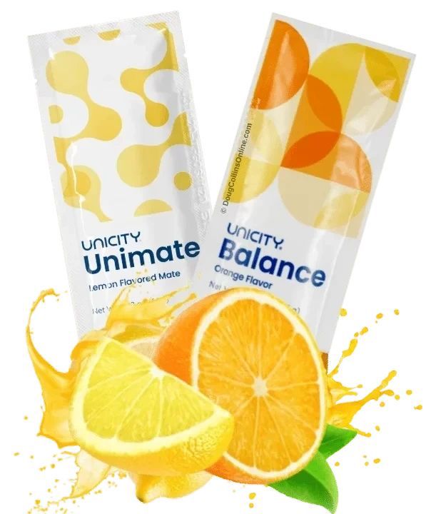 renaissance holistique